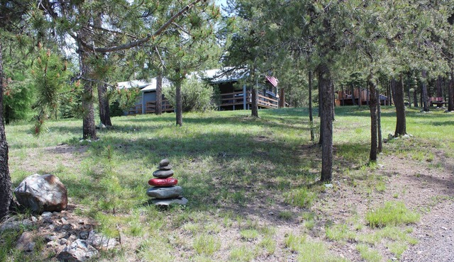 HUNTERS DELIGHT with all the luxuries of home. Hike, Bike, Fish, or RELAX