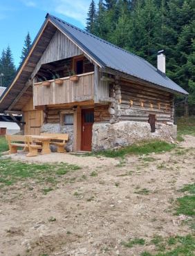 Hut Vaznik