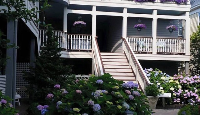 Hydrangea House
