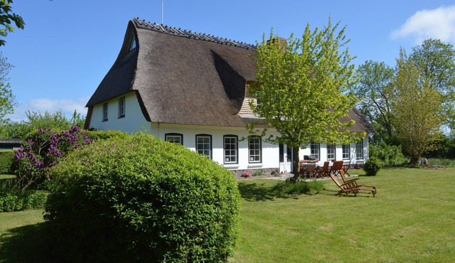 Hyggeby - fireplace, sauna, bathtub, two showers, TV, terrace, garden