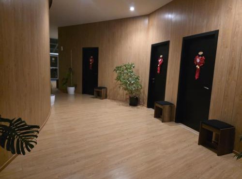 Hylli Drites