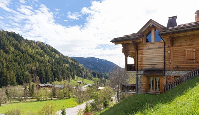Hysope CDA : Bel appartement confortable à l'entrée du Grand Bo