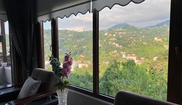 Hz muzonun evi