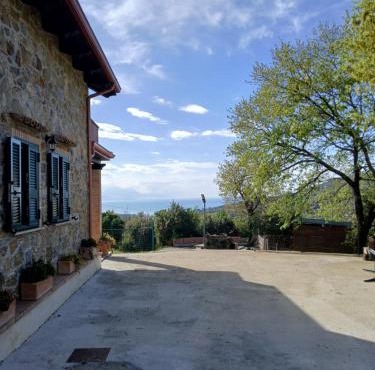 I Corbezzoli