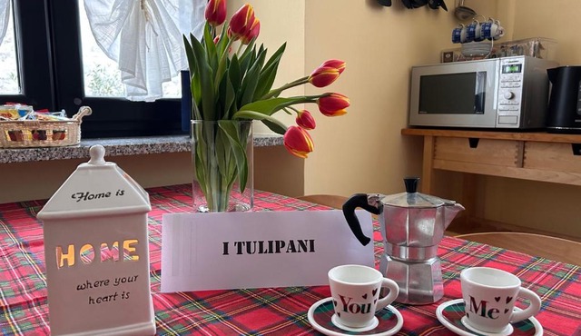 i tulipani