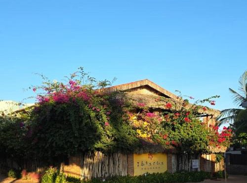 Ibiscus Pousada sem café