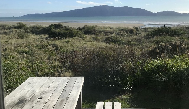 Iconic absolute beachfront 60s bach