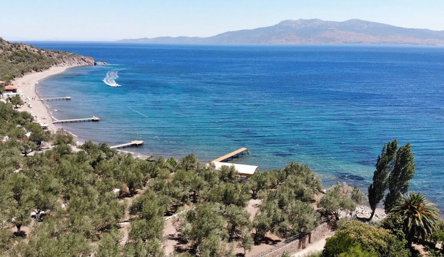 IDAOLEA.ASSOS