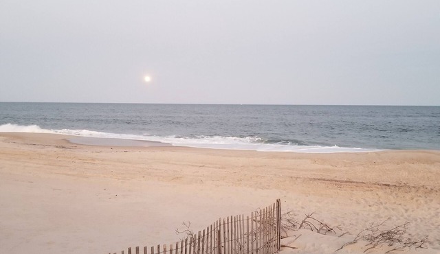 Idyllic Cozy Cottage in Davis Park, Fire Island - Weekly Rentals Now Available!