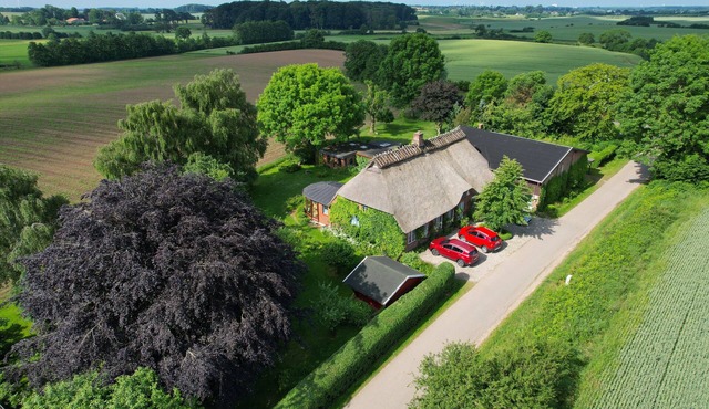 Idyllic thatched roof house from 1860 with winter garden and foresight