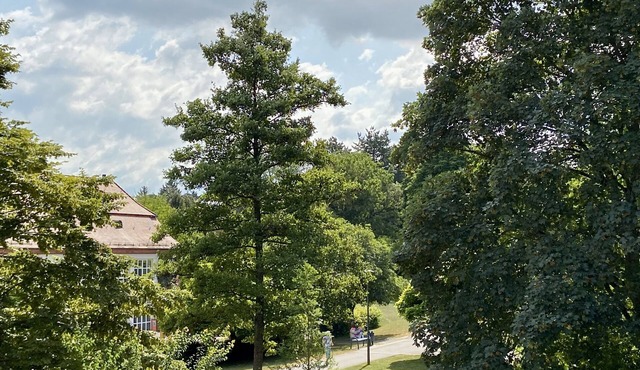 Idyllic vacation apartment by the spa gardens, view of the countryside, 1st floor, 98sqm, 5 people