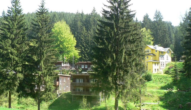 Idyllically situated vacation home in the middle of the forest