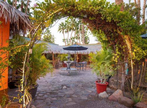 Iguana Inn