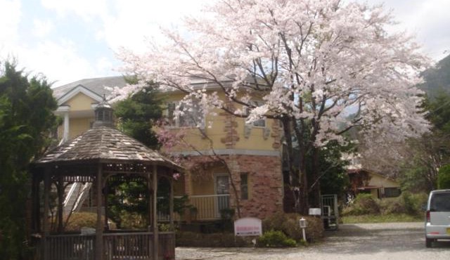 Ikoi