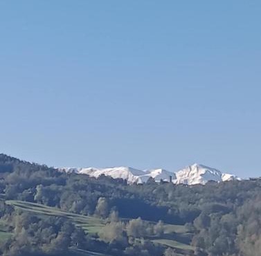 Il Bagatto B&B