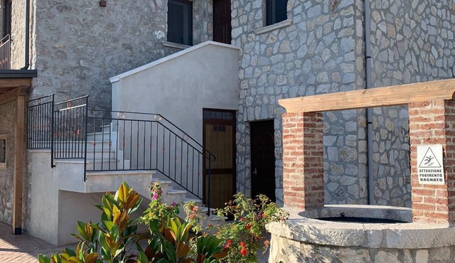 il Corticato