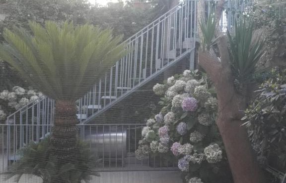 il cortile
