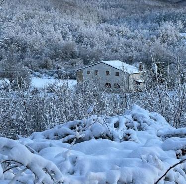 Il Cottage