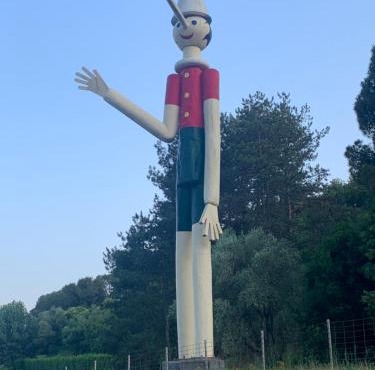 Il gatto e la volpe 1