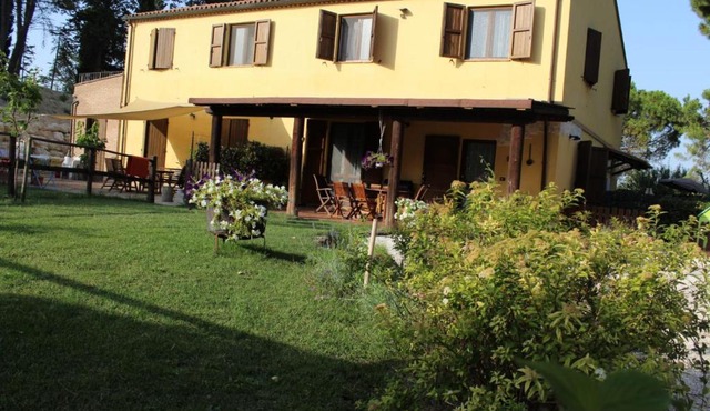 il Gelso Nero