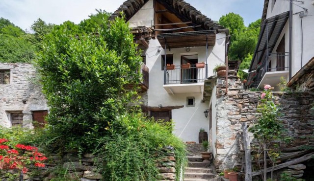Il Gianlupo Grigio by Interhome