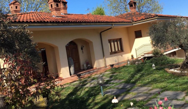 Il giardino degli ulivi