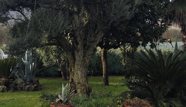 Il giardino di Eolo