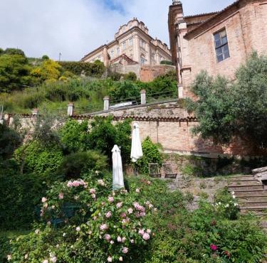 Il giardino di Olivia