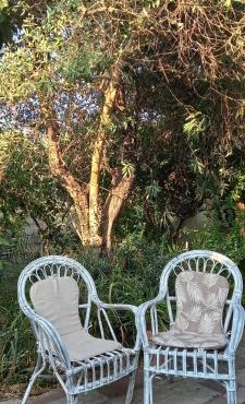 Il Giardino