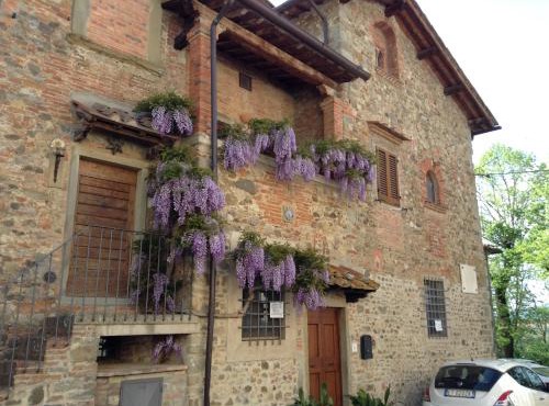 Il Glicine