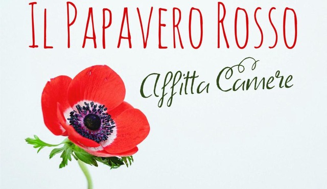Il papavero rosso