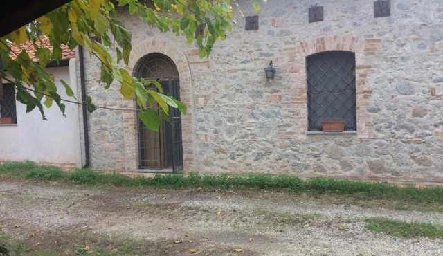 Il pino marittimo