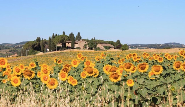 Il Poggio B&B