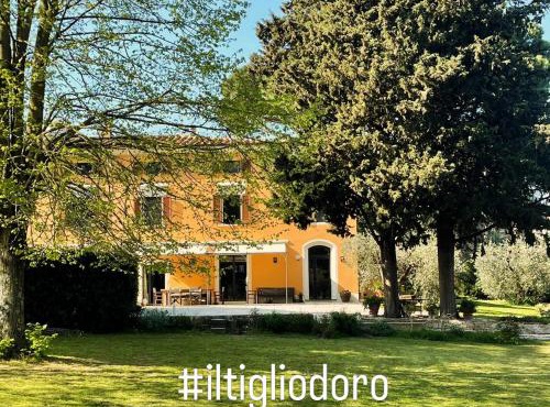 Il Tiglio d Oro