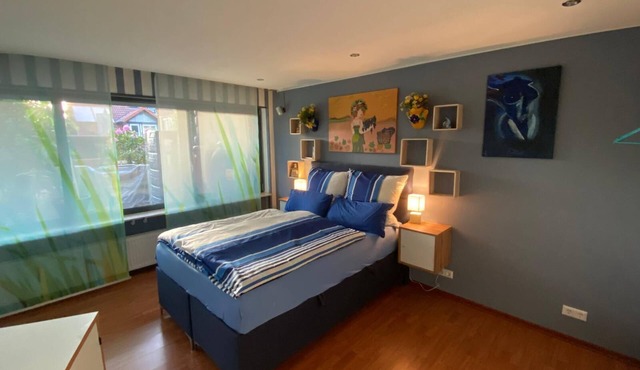 Ilonas Home