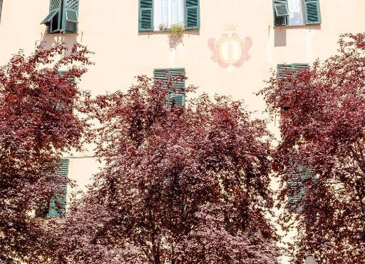 Ilsoleresort