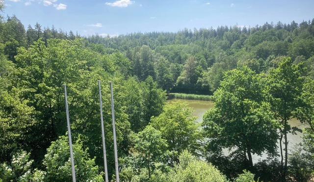 Immensee I Apartment with lake view surrounded by forest