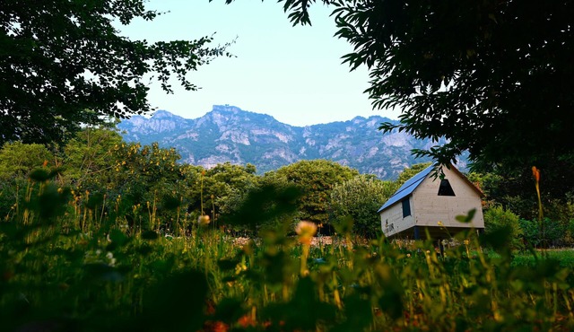 Immersed in the forest, breathtaking views of Mombracco and whirlpool pool