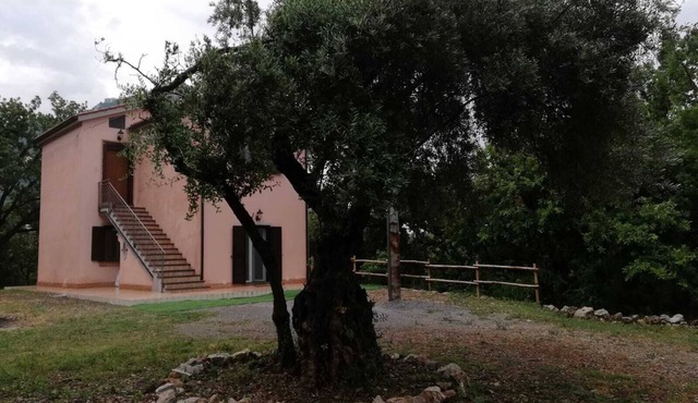 Immersed in the green of Maratea 1 km from the sea