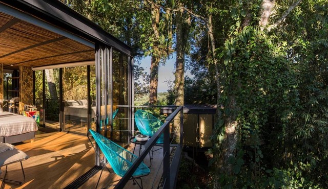 Immersive Nature Haven at Tranquil Forest Suite w/Scenic Mountain Views