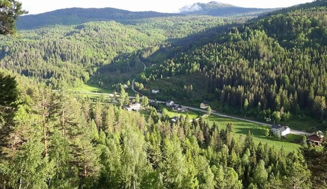 Impeccable 4-bed House in Drangedal