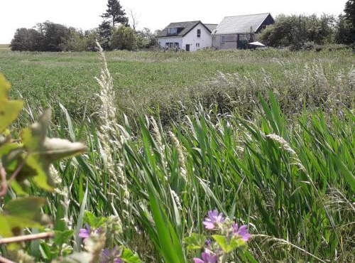 in de Boomgaard