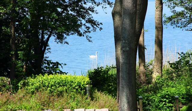 In the first location to the Wittensee with lots of space, WiFi, lake view