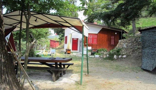 In the heart of the forest stands Pachamama, 900 m above sea level detached cottage