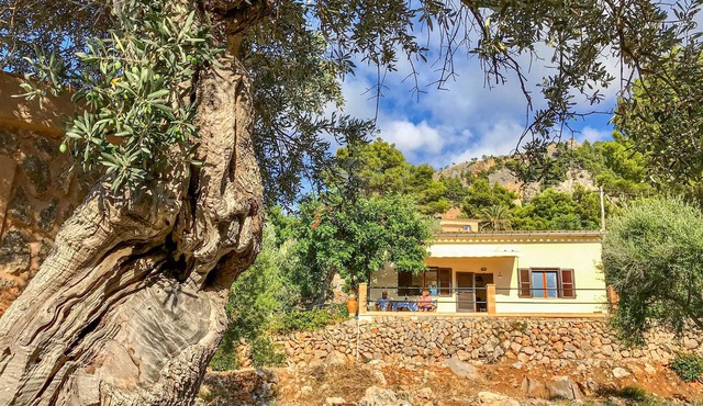 In the mountain village of artists you will enjoy an unobstructed view of the rocky coasts and the s