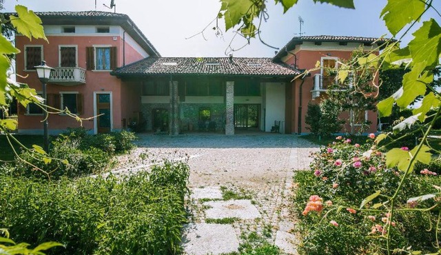IN VIRIDI