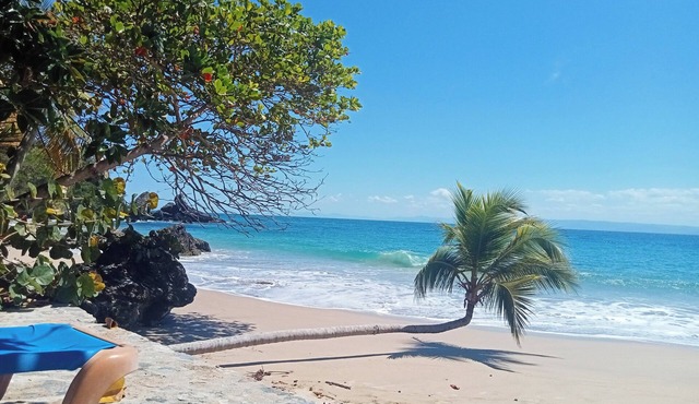 Incredible Samana bay view.Apartment in Private and Prestige residence