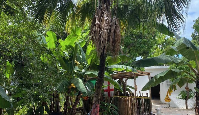 Inez Roots Hostel