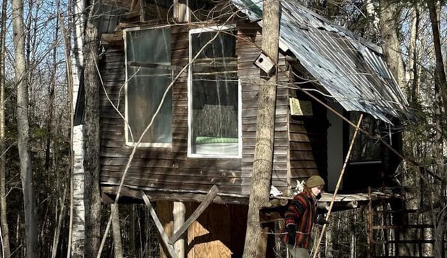 Into the Woods: Discover Our Charming Rustic Treehouse in Dorchester, NH