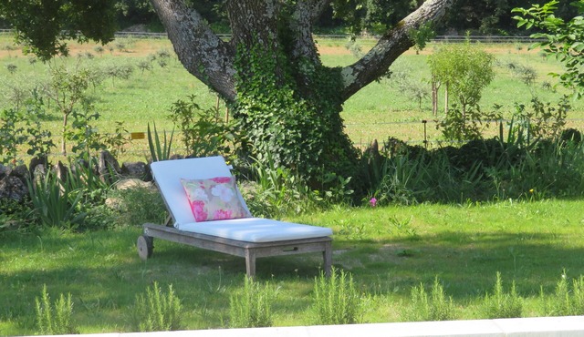 Invitation to idleness (2)